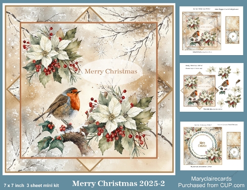 Merry Christmas 2025 - 2