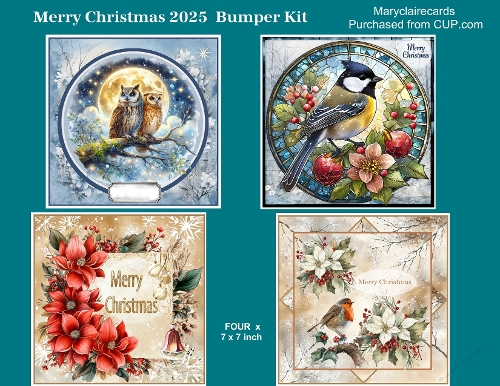 Merry Christmas 2025  Bumper Kit