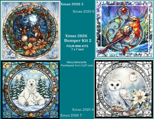 Xmas 2026 Bumper Kit 2