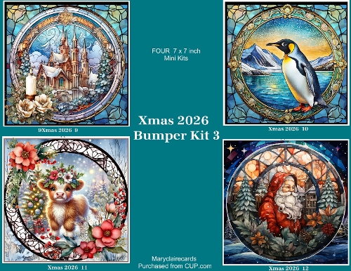 Xmas 2026 Bumper Kit 3