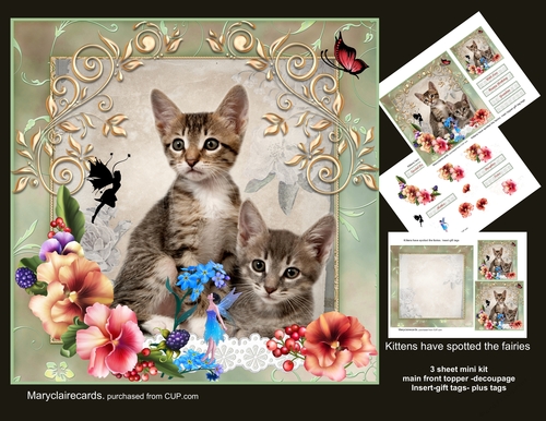 Kittens have spotted the fairies mini kit
