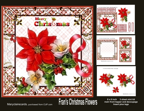 Frans Christmas Flowers 6 x 6 mini kit
