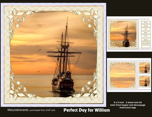 Perfect Day for William - quick card mini kit