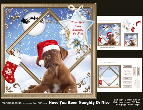 Have You Been Naughty Or nice mini kit