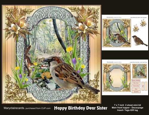 Happy Birthday Dear Sister mini kit