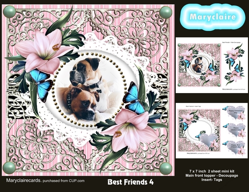 Best Friends 4 mini kit