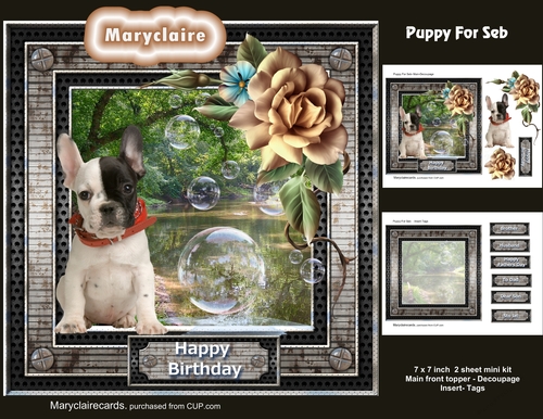 Puppy For Seb mini kit