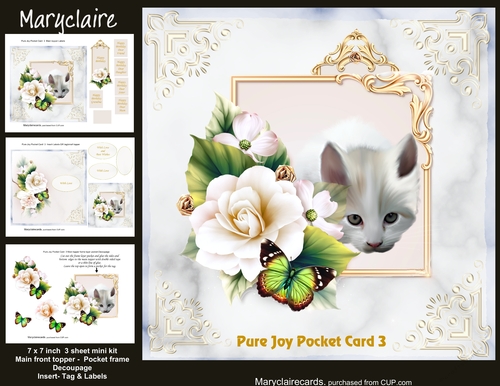 Pure Joy Pocket Card 3