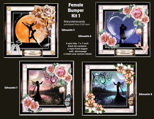 Female Bumper Kit 1 (silhouettes)