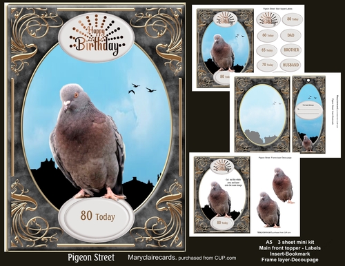 Pigeon Street mini kit