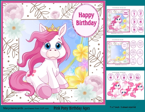 Pink Pony Birthday Ages
