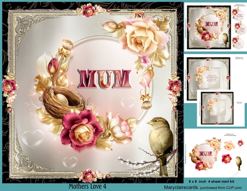 Mothers Love 4