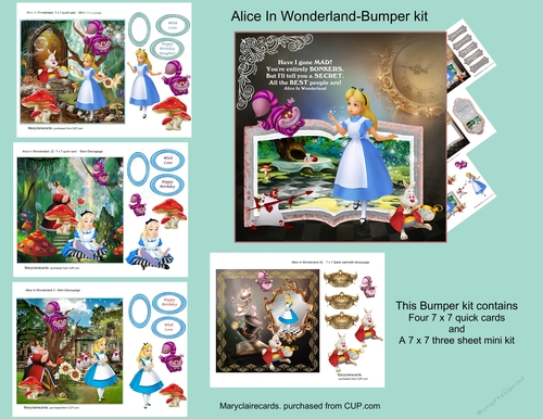 Alice In Wonderland-Bumper Kit