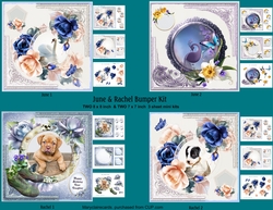 June & Rachel Bumper Kit