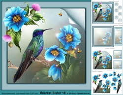 Dearest Sister 18