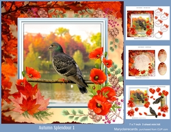 Autumn Splendour 1