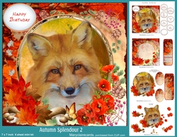 Autumn Splendour 2