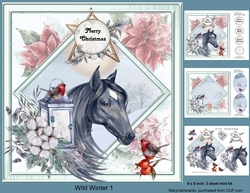 Wild Winter 1