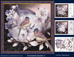 Enchanted Garden 3