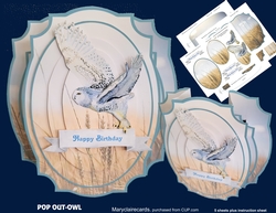 Pop Out-OWL