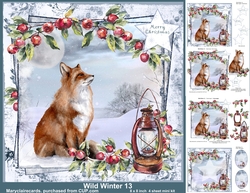 Wild Winter 13