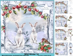 Wild Winter 14