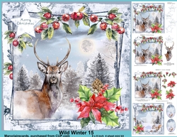 Wild Winter 15