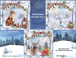 Wild Winter Bumper Kit 3