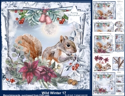 Wild Winter 17