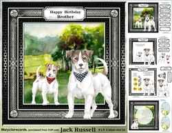 Jack Russell