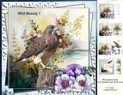 Wild Beauty 1`