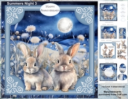 Summers Night 3