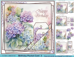 Birthday Pocket Card 2