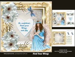 Find your wings mini kit
