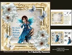 Butterfly Moment mini kit