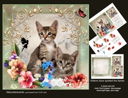 Kittens have spotted the fairies mini kit