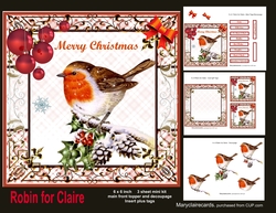 Robin for Claire mini kit