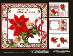 Frans Christmas Flowers 6 x 6 mini kit