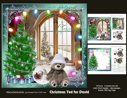 Christmas Ted for David mini kit