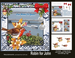 Robin for John mini kit