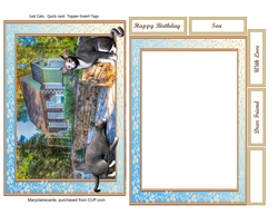 Just Cats quick card