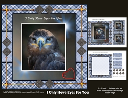 I Only Have Eyes For You mini kit
