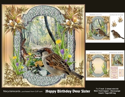 Happy Birthday Dear Sister mini kit