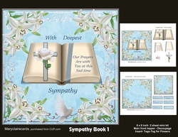 Sympathy Book 1 mini kit