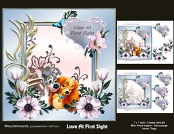 Love At First Sight mini kit