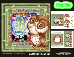 Owl Old Are You?50!