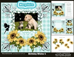 Birthday Wishes 4 mini kit