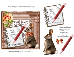 Bunny Thank You - Quick Card