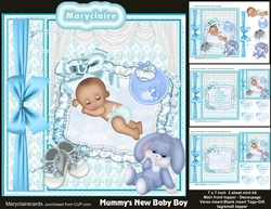 Mummys New Baby Boy mini kit