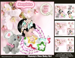 Mummys New Baby Girl mini kit